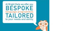 Bright Owls language school in Shrewsbury town centre