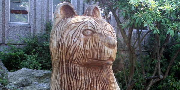 Carved Bear