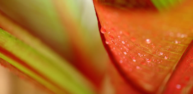 DSC_0066-LR