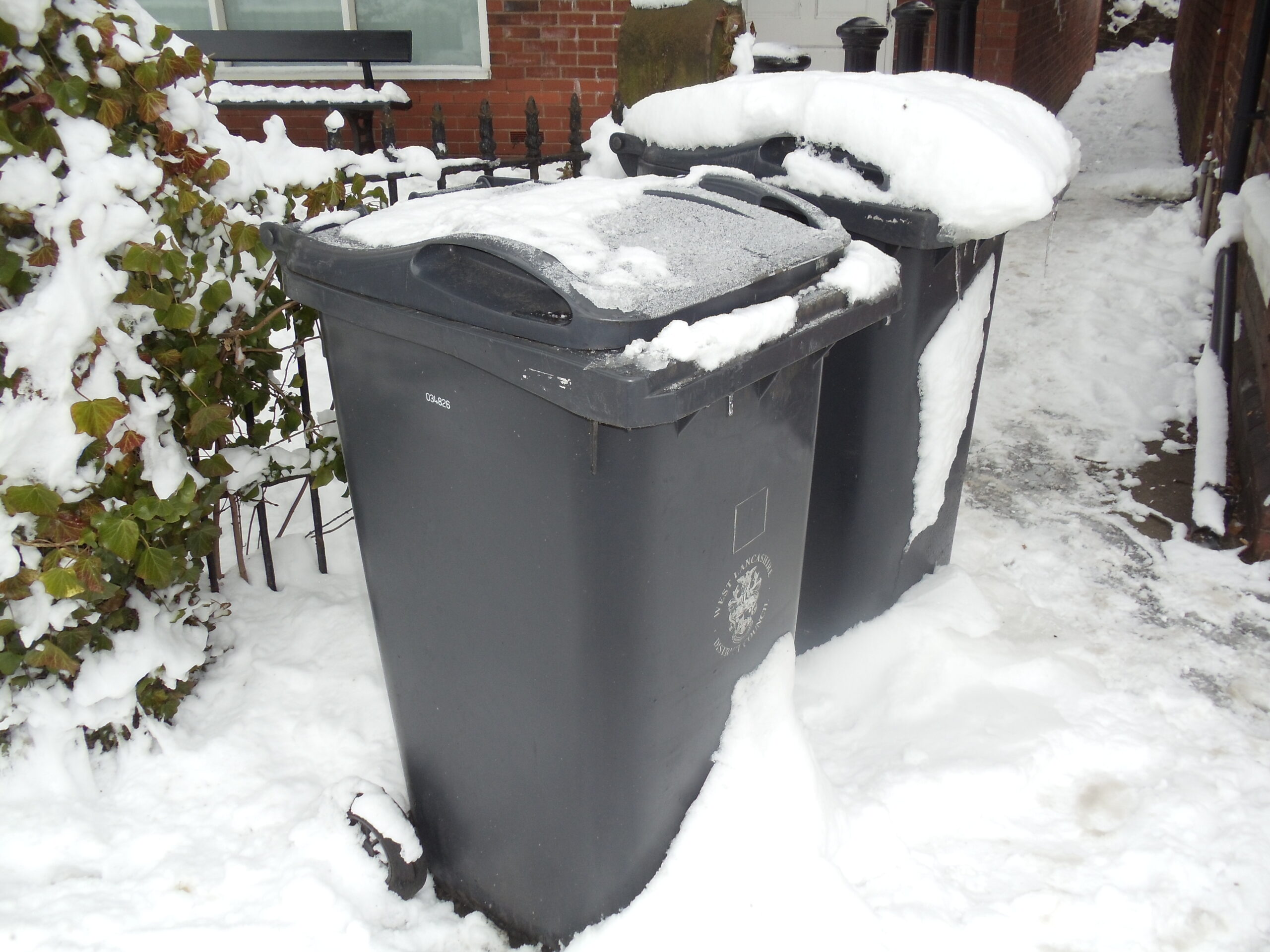 bins in the snow