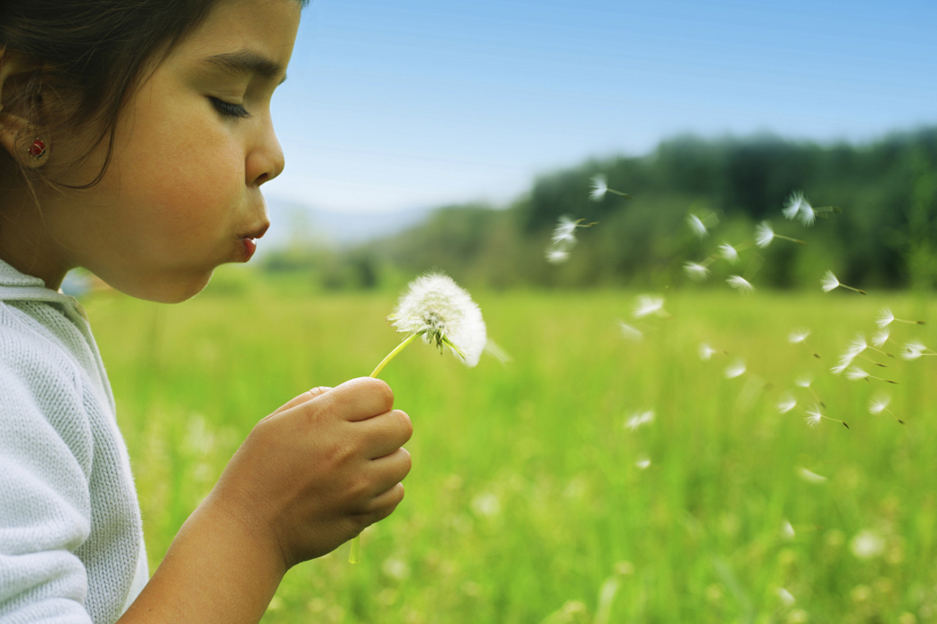 Child blowing dandelions