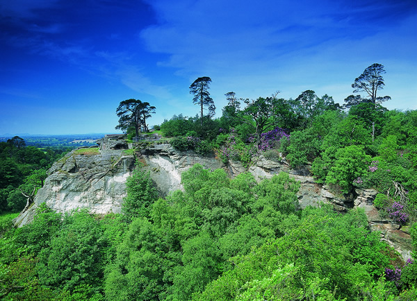 grotto hill4
