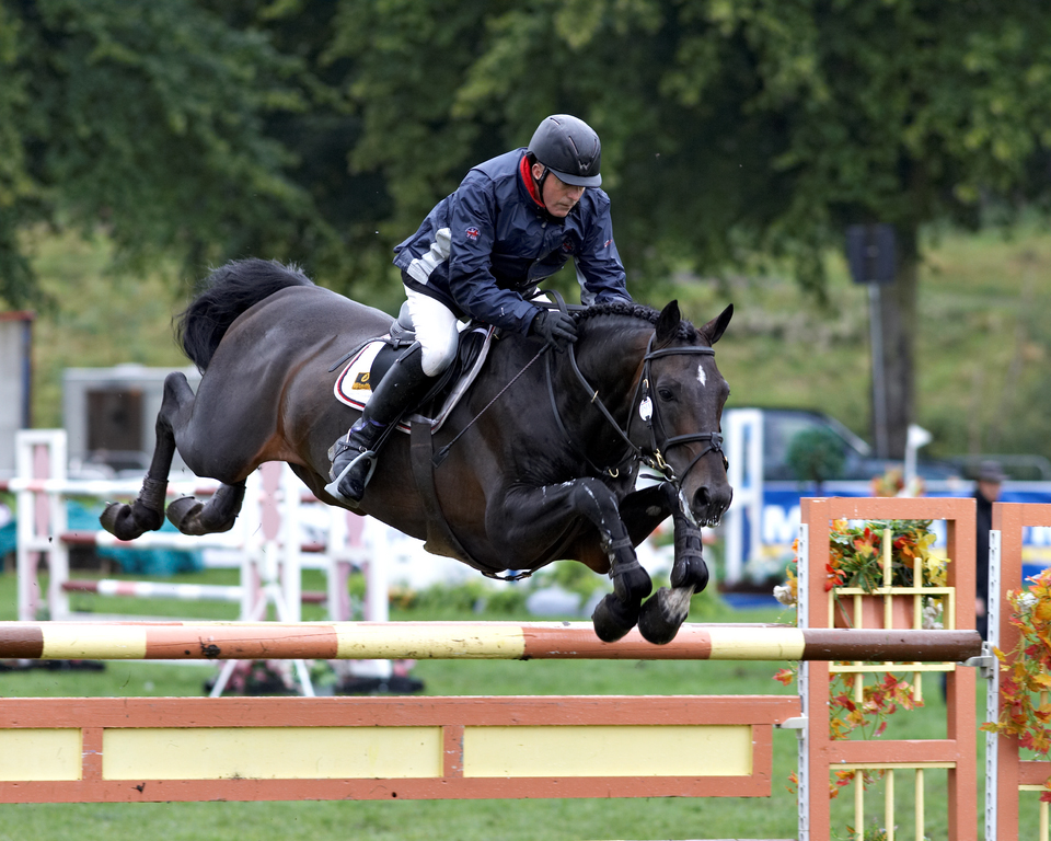 Show Jumping