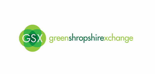 GSX logo