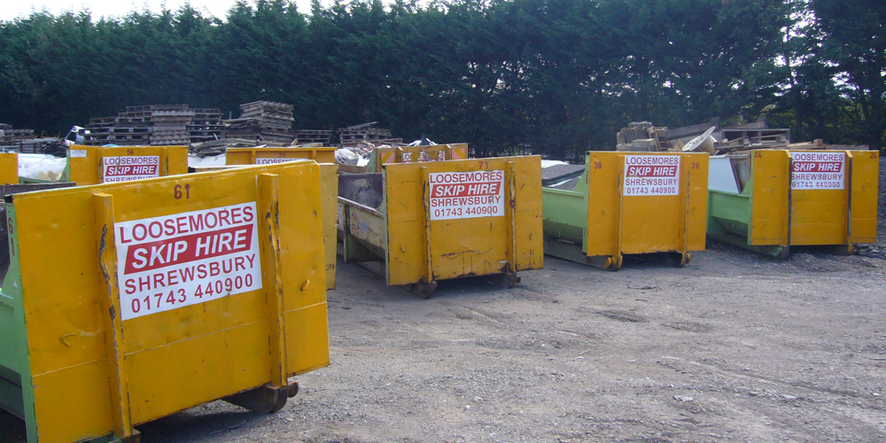 loosemores skips