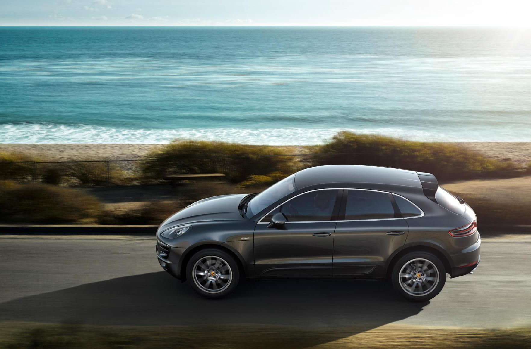 Macan_2 (2)