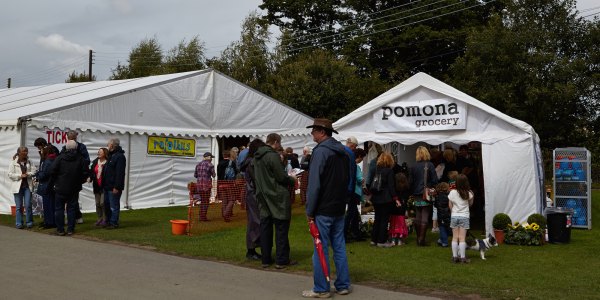Local business including Shrewsbury's Pomona Grocery will get an economic boost thanks to the folk festival