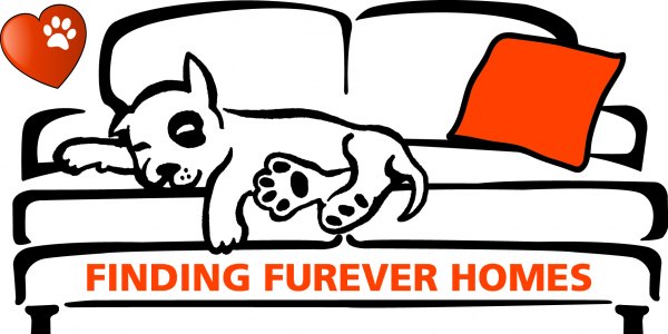 finding-furever-homes-k9-capers