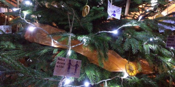 Photograph of Signal's sensory tree at St Chad's Christmas Tree Festival