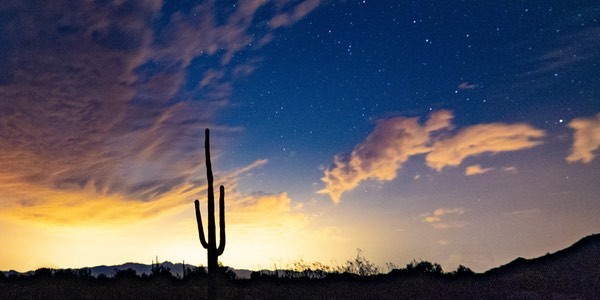 tom-gainor-781539-unsplash