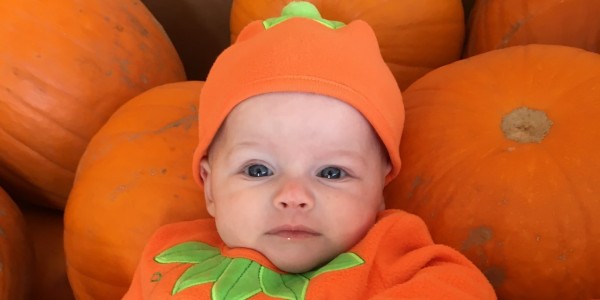 Poppy the Pumpkin and friends