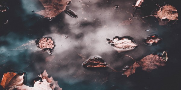 chrissa-giannakoudi-1197900-unsplash