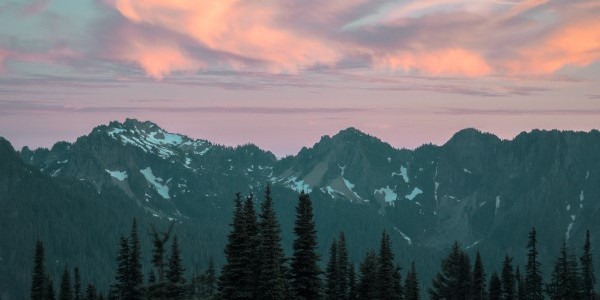 ben-dutton-1357712-unsplash
