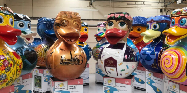 a collection of all the giant ducks that were on display in Ironbridge and Southwater