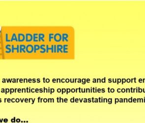 Ladder for Shropshire Flyer