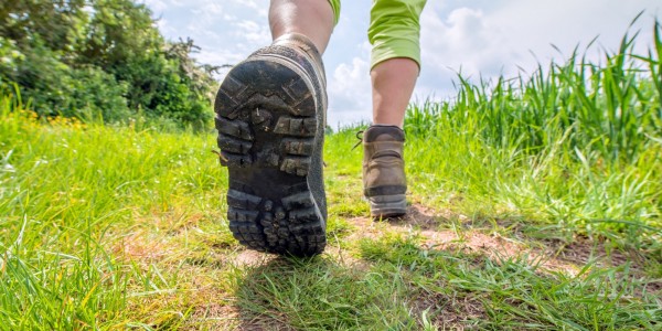 Shropshire Tasty Trail is in May 2021