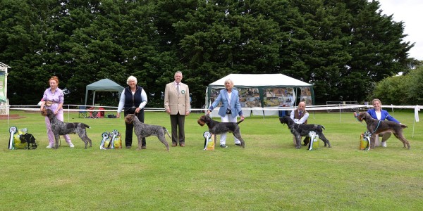 Exhibitors with Dog- Final Winners Lineup