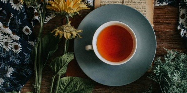 loverna-journey-5kb0HwTHqTg-unsplash