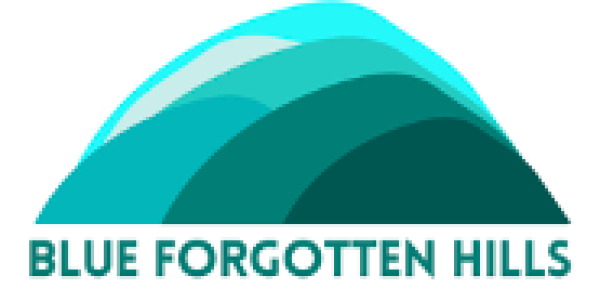 BFH Logo (1)