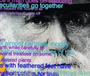 Photograph of Charles Darwin overlaid with a range of phrases from his past works.