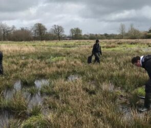 Volunteers working on the Marches Mosses