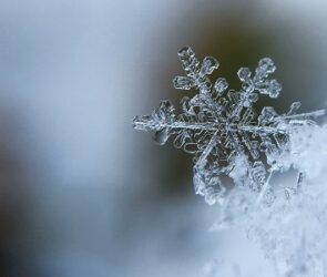 aaron-burden-5AiWn2U10cw-unsplash