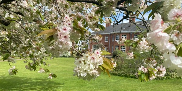 The Oteley Estate in Ellesmere