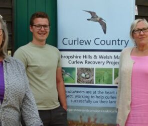 SWS Broadband Curlew Country 1 50 percent