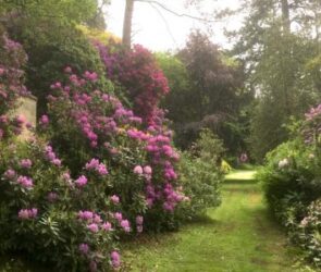 The garden at the Oteley Estate