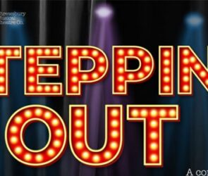 SteppingOut